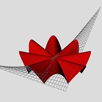 Paraboloides borde curvo